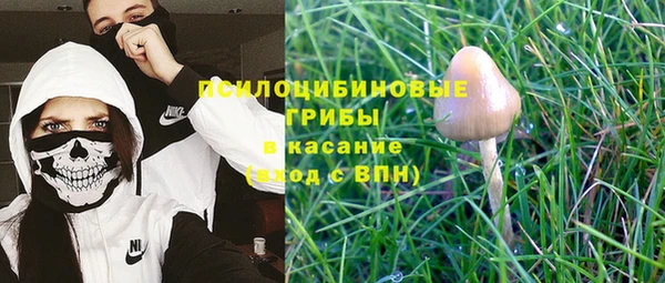мескалин Баксан