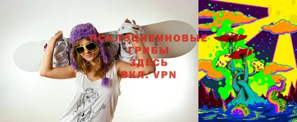 твердый Балахна