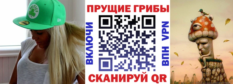 Галлюциногенные грибы мухоморы Воркута